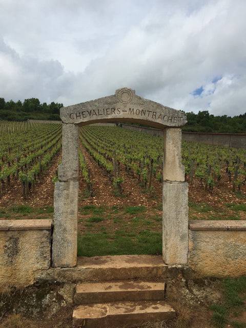 René Lequin-Colin, Bourgogne, Frankrig