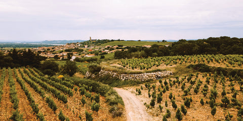 Raymond Usseglio, Chateauneuf du Pape, Frankrig