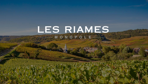 Les Raimes, Auxey-Duresse, Francois de Givry, Bourgogne, Frankrig 2021