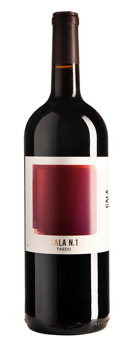 Cala N. 1, Tinedo, Tierra de Castilla, Spanien 2018