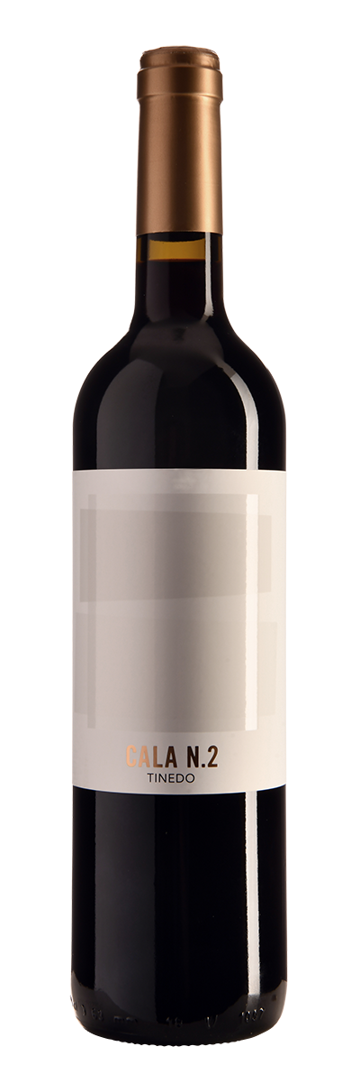 Cala N. 2, Tinedo, Tierra de Castilla, Spanien 2019