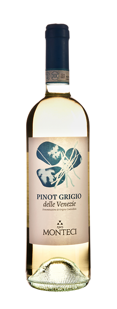 Pinot Grigio, Monteci, Veneto, Italien 2022